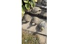 Property photo 138 - TIMED ONLINE ONLY PERSONAL PROPERTY AUCTION IN ALLEN COUNTY, INDIANA