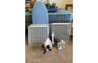 Property photo 175 - TIMED ONLINE ONLY PERSONAL PROPERTY AUCTION IN ALLEN COUNTY, INDIANA