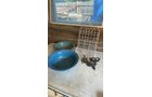 Property photo 349 - TIMED ONLINE ONLY PERSONAL PROPERTY AUCTION IN ALLEN COUNTY, INDIANA