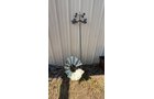 Property photo 408 - TIMED ONLINE ONLY PERSONAL PROPERTY AUCTION IN ALLEN COUNTY, INDIANA