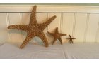 Property photo 428 - TIMED ONLINE ONLY PERSONAL PROPERTY AUCTION IN ALLEN COUNTY, INDIANA