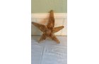 Property photo 430 - TIMED ONLINE ONLY PERSONAL PROPERTY AUCTION IN ALLEN COUNTY, INDIANA