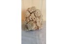 Property photo 439 - TIMED ONLINE ONLY PERSONAL PROPERTY AUCTION IN ALLEN COUNTY, INDIANA
