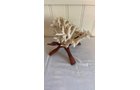 Property photo 445 - TIMED ONLINE ONLY PERSONAL PROPERTY AUCTION IN ALLEN COUNTY, INDIANA