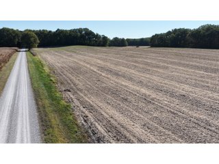 Property photo 7 - LAND AUCTION - 120+/-ACRES OFFERED IN 5 TRACTS IN CASS COUNTY, INDIANA