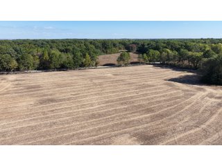 Property photo 11 - LAND AUCTION - 120+/-ACRES OFFERED IN 5 TRACTS IN CASS COUNTY, INDIANA