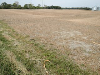 Property photo 1 - FARMLAND AUCTION - 84.9+/- ACRES OFFERED IN 3 TRACTS IN RANDOLPH COUNTY, INDIANA