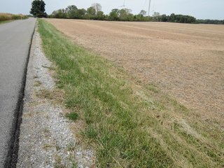 Property photo 15 - FARMLAND AUCTION - 84.9+/- ACRES OFFERED IN 3 TRACTS IN RANDOLPH COUNTY, INDIANA