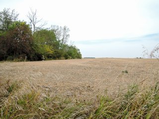Property photo 12 - FARMLAND AUCTION - 84.9+/- ACRES OFFERED IN 3 TRACTS IN RANDOLPH COUNTY, INDIANA