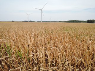 Property photo 11 - FARMLAND AUCTION - 84.9+/- ACRES OFFERED IN 3 TRACTS IN RANDOLPH COUNTY, INDIANA