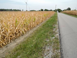 Property photo 10 - FARMLAND AUCTION - 84.9+/- ACRES OFFERED IN 3 TRACTS IN RANDOLPH COUNTY, INDIANA
