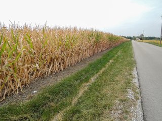 Property photo 9 - FARMLAND AUCTION - 84.9+/- ACRES OFFERED IN 3 TRACTS IN RANDOLPH COUNTY, INDIANA