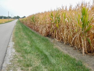 Property photo 5 - FARMLAND AUCTION - 84.9+/- ACRES OFFERED IN 3 TRACTS IN RANDOLPH COUNTY, INDIANA