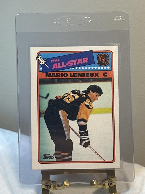 Property photo 133 - TIMED ONLINE ONLY SPORTS CARDS AUCTION IN ALLEN COUNTY, INDIANA