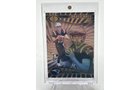Property photo 278 - TIMED ONLINE ONLY SPORTS CARDS AUCTION IN ALLEN COUNTY, INDIANA