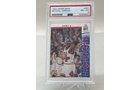 Property photo 500 - TIMED ONLINE ONLY SPORTS CARDS AUCTION IN ALLEN COUNTY, INDIANA