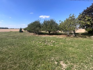 Property photo 23 - REAL ESTATE AUCTION - 10.276+/- ACRES OFFERED IN 2 TRACTS IN ALLEN COUNTY, INDIANA