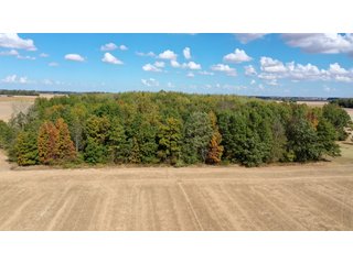 Property photo 3 - REAL ESTATE AUCTION - 10.276+/- ACRES OFFERED IN 2 TRACTS IN ALLEN COUNTY, INDIANA