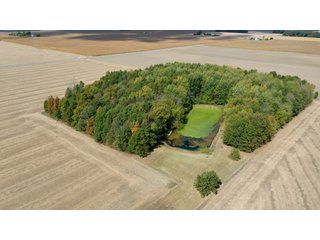 Property photo 1 - REAL ESTATE AUCTION - 10.276+/- ACRES OFFERED IN 2 TRACTS IN ALLEN COUNTY, INDIANA