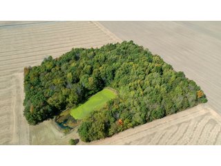 Property photo 11 - REAL ESTATE AUCTION - 10.276+/- ACRES OFFERED IN 2 TRACTS IN ALLEN COUNTY, INDIANA