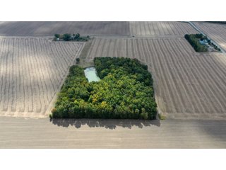 Property photo 12 - REAL ESTATE AUCTION - 10.276+/- ACRES OFFERED IN 2 TRACTS IN ALLEN COUNTY, INDIANA