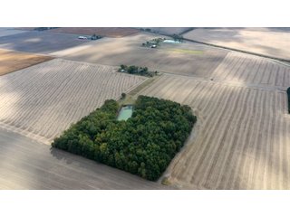 Property photo 13 - REAL ESTATE AUCTION - 10.276+/- ACRES OFFERED IN 2 TRACTS IN ALLEN COUNTY, INDIANA