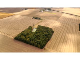 Property photo 14 - REAL ESTATE AUCTION - 10.276+/- ACRES OFFERED IN 2 TRACTS IN ALLEN COUNTY, INDIANA