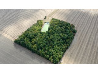Property photo 15 - REAL ESTATE AUCTION - 10.276+/- ACRES OFFERED IN 2 TRACTS IN ALLEN COUNTY, INDIANA