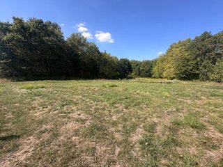 Property photo 66 - REAL ESTATE AUCTION - 10.276+/- ACRES OFFERED IN 2 TRACTS IN ALLEN COUNTY, INDIANA