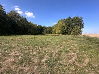 Property photo 67 - REAL ESTATE AUCTION - 10.276+/- ACRES OFFERED IN 2 TRACTS IN ALLEN COUNTY, INDIANA