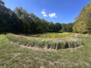 Property photo 68 - REAL ESTATE AUCTION - 10.276+/- ACRES OFFERED IN 2 TRACTS IN ALLEN COUNTY, INDIANA