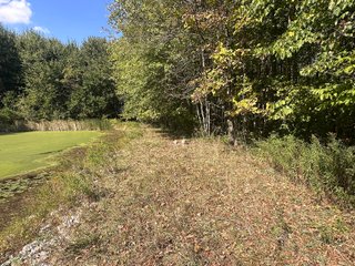 Property photo 70 - REAL ESTATE AUCTION - 10.276+/- ACRES OFFERED IN 2 TRACTS IN ALLEN COUNTY, INDIANA