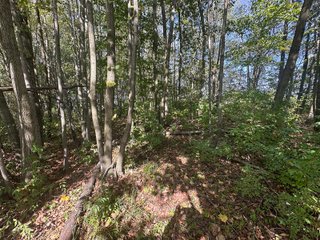 Property photo 71 - REAL ESTATE AUCTION - 10.276+/- ACRES OFFERED IN 2 TRACTS IN ALLEN COUNTY, INDIANA