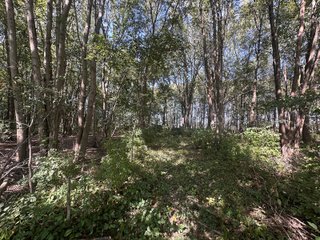 Property photo 72 - REAL ESTATE AUCTION - 10.276+/- ACRES OFFERED IN 2 TRACTS IN ALLEN COUNTY, INDIANA