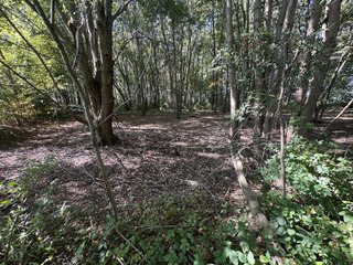 Property photo 73 - REAL ESTATE AUCTION - 10.276+/- ACRES OFFERED IN 2 TRACTS IN ALLEN COUNTY, INDIANA