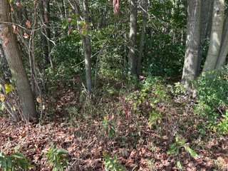 Property photo 75 - REAL ESTATE AUCTION - 10.276+/- ACRES OFFERED IN 2 TRACTS IN ALLEN COUNTY, INDIANA
