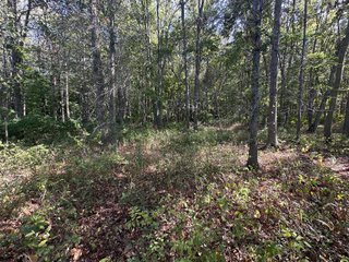 Property photo 77 - REAL ESTATE AUCTION - 10.276+/- ACRES OFFERED IN 2 TRACTS IN ALLEN COUNTY, INDIANA