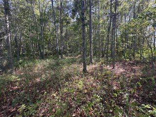 Property photo 78 - REAL ESTATE AUCTION - 10.276+/- ACRES OFFERED IN 2 TRACTS IN ALLEN COUNTY, INDIANA