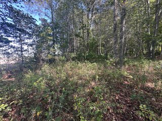 Property photo 79 - REAL ESTATE AUCTION - 10.276+/- ACRES OFFERED IN 2 TRACTS IN ALLEN COUNTY, INDIANA