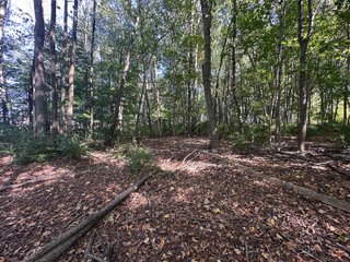 Property photo 83 - REAL ESTATE AUCTION - 10.276+/- ACRES OFFERED IN 2 TRACTS IN ALLEN COUNTY, INDIANA