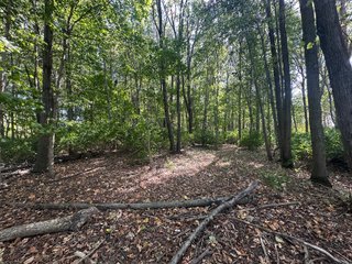 Property photo 84 - REAL ESTATE AUCTION - 10.276+/- ACRES OFFERED IN 2 TRACTS IN ALLEN COUNTY, INDIANA