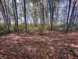 Property photo 85 - REAL ESTATE AUCTION - 10.276+/- ACRES OFFERED IN 2 TRACTS IN ALLEN COUNTY, INDIANA