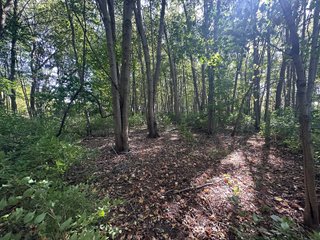 Property photo 86 - REAL ESTATE AUCTION - 10.276+/- ACRES OFFERED IN 2 TRACTS IN ALLEN COUNTY, INDIANA