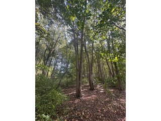 Property photo 87 - REAL ESTATE AUCTION - 10.276+/- ACRES OFFERED IN 2 TRACTS IN ALLEN COUNTY, INDIANA