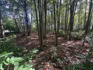 Property photo 90 - REAL ESTATE AUCTION - 10.276+/- ACRES OFFERED IN 2 TRACTS IN ALLEN COUNTY, INDIANA