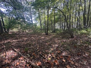 Property photo 92 - REAL ESTATE AUCTION - 10.276+/- ACRES OFFERED IN 2 TRACTS IN ALLEN COUNTY, INDIANA