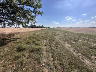 Property photo 96 - REAL ESTATE AUCTION - 10.276+/- ACRES OFFERED IN 2 TRACTS IN ALLEN COUNTY, INDIANA