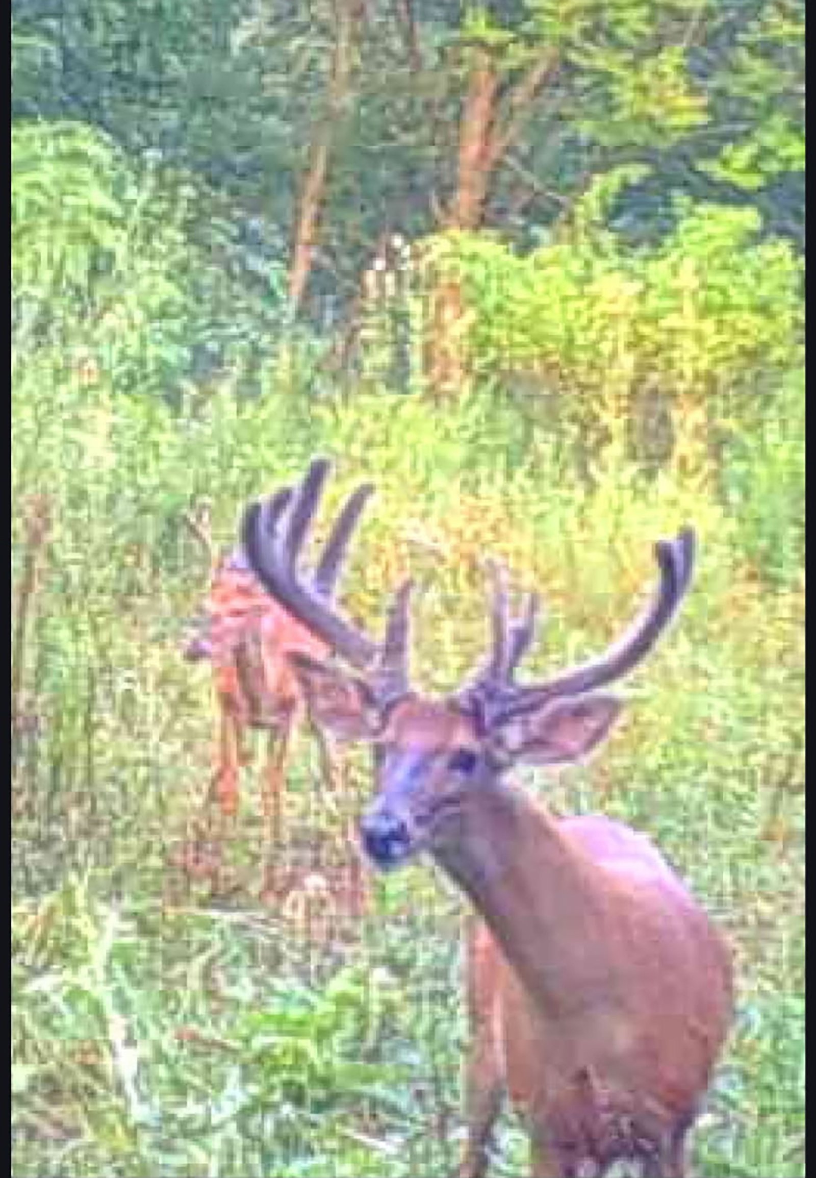 Property photo 22 - LAND AUCTION - 41+/- ACRES OFFERED IN 2 TRACTS IN HILLSDALE COUNTY, MICHIGAN