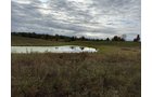 Property photo 32 - LAND AUCTION - 41+/- ACRES OFFERED IN 2 TRACTS IN HILLSDALE COUNTY, MICHIGAN