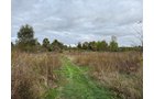 Property photo 28 - LAND AUCTION - 41+/- ACRES OFFERED IN 2 TRACTS IN HILLSDALE COUNTY, MICHIGAN